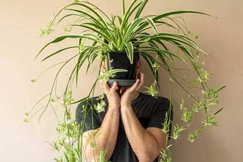 استرس استرس | ترفند | متفرقه